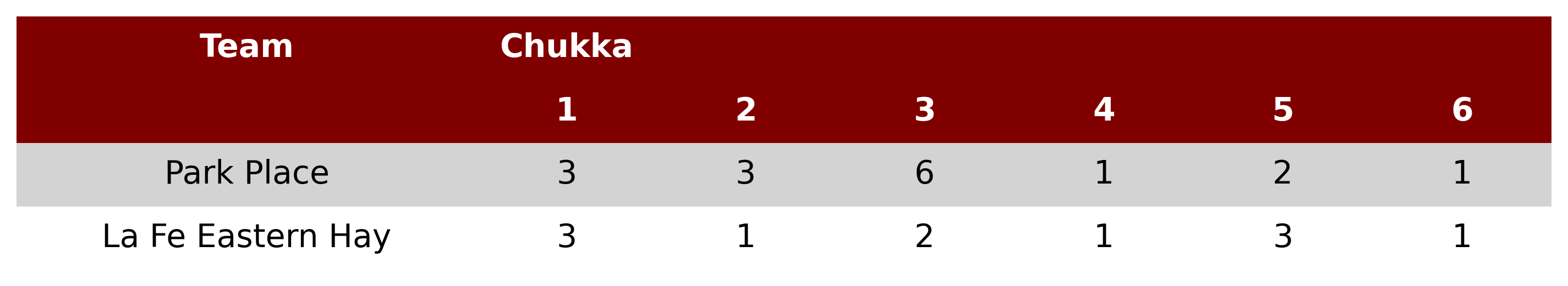 Park Place won the Subsidiary final of the U.S. Open Polo 4