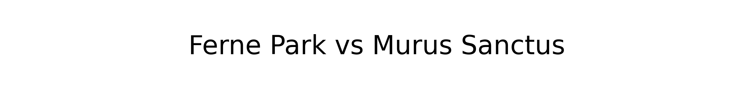 Murus Sanctus1